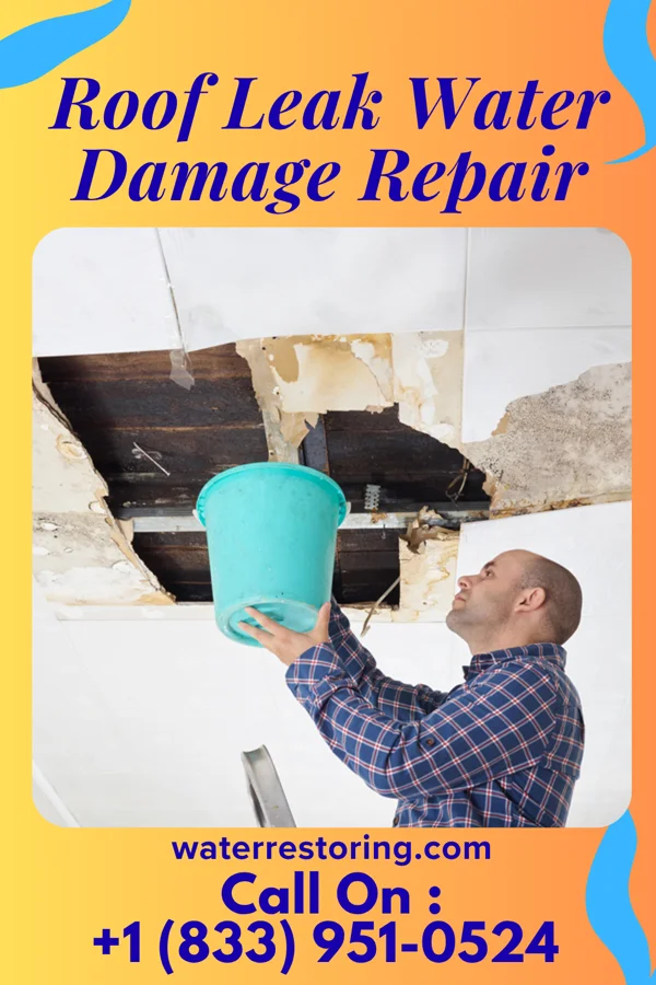Roof Leak Water Damage Repair in Lee, FL